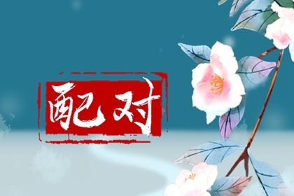 试婚姻缘分,八字合姻缘免费,配对合婚测财运,姻缘真实,姻缘名字配对
