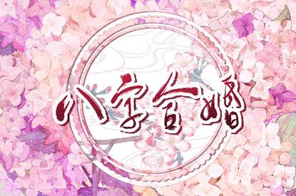 合婚看日子 测八字合婚 生宵配对指数 汉程姓名配对 测婚姻缘分
